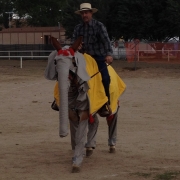 Carl Perry riding Clay the Mule for Bishop Mule Days comedy