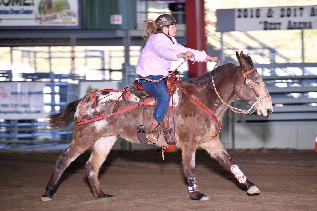 Kayla Riding Flynn the Mule Barrel Racing