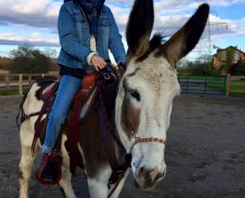 Picture of Emma Riding Goliath the Mammoth Donkey