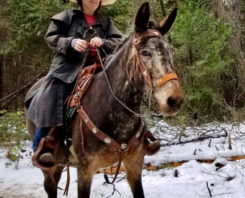 Cindy and Luna the Molly Mule Riding